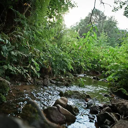 Sleep Space 22 - Tiny Village Harz *