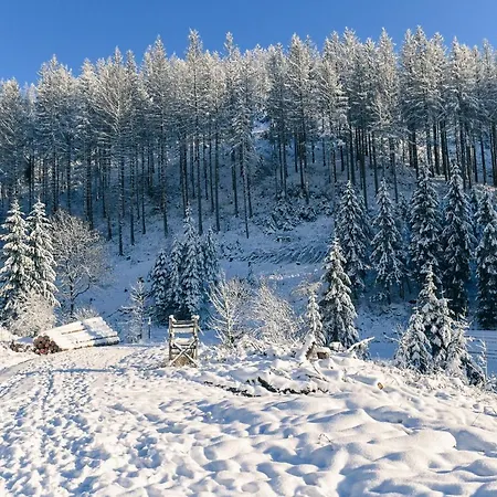 Sleep Space 22 - Tiny Village Harz Tatil Evi
