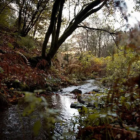 Sleep Space 22 - Tiny Village Harz Osterode am Harz