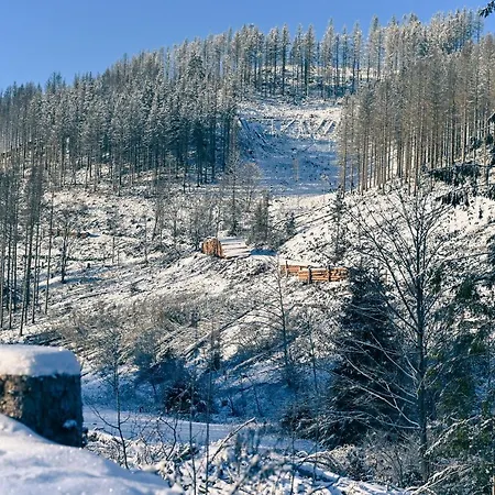 Vakantiehuis Sleep Space 22 - Tiny Village Harz *